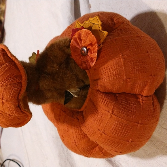 Rare Boyds Bear collection pop up surprise pumpkin - Picture 4 of 5